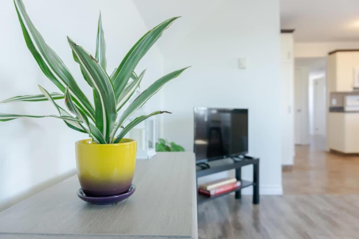 Amazing Location In Saint John 2 Bedroom Modern Parking New Extérieur photo