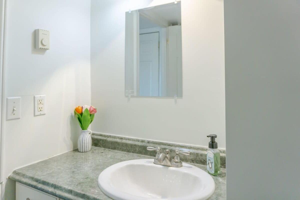 Amazing Location In Saint John 2 Bedroom Modern Parking New Extérieur photo